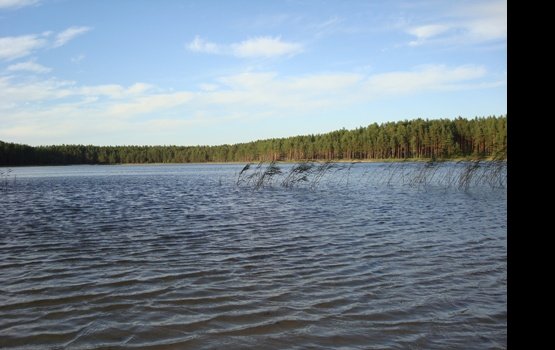 ����: ������� ����� ���� ������