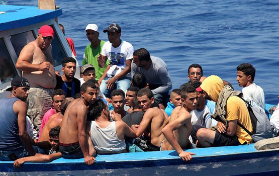 ������ �� �������� ������������� ���������� �� �������� �� 20 ����