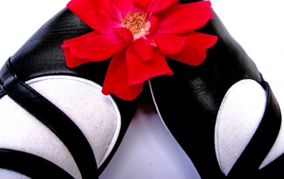 ������ ���������� ��������� ��� ��������� �� �������