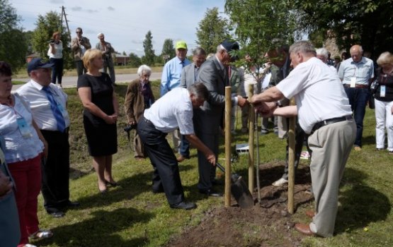 � ������ ������ ��� �������� ���������� �������