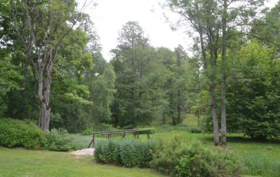 ����� ���� ���� �������