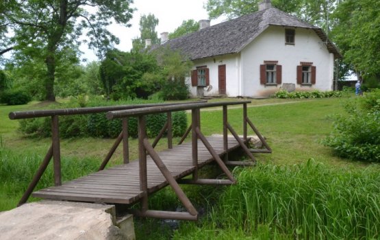 ����� ���� ���� �������