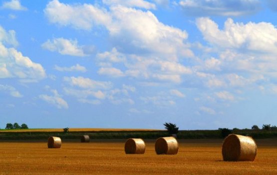 ������� ������ ��� ������ - ������ �������� �� ����