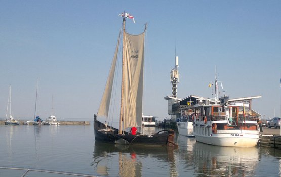 �������� ����