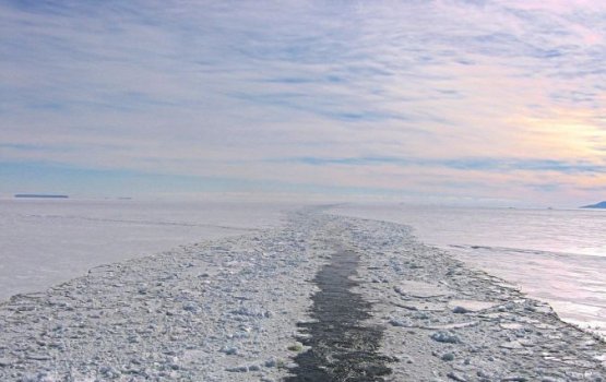 ����������� ����������� Greenpeace ������� Shell ���������� � �������