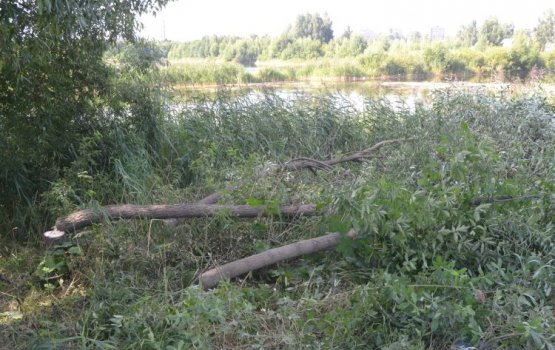 ���������� ����: �� ������ ����� ��������� ������