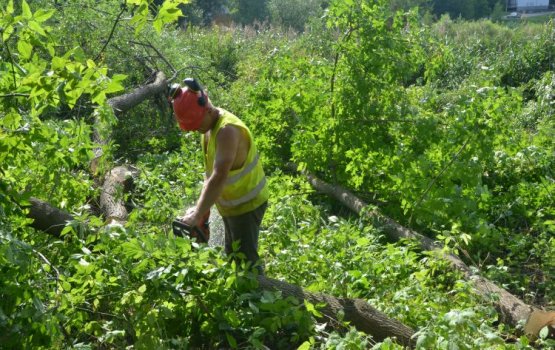 ���������� ����: �� ������ ����� ��������� ������