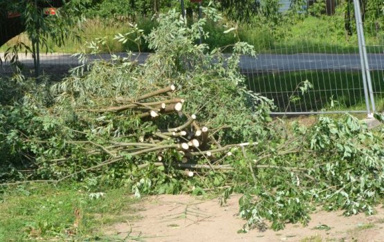 ���������� ����: �� ������ ����� ��������� ������