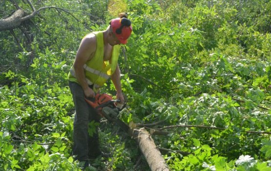 ���������� ����: �� ������ ����� ��������� ������