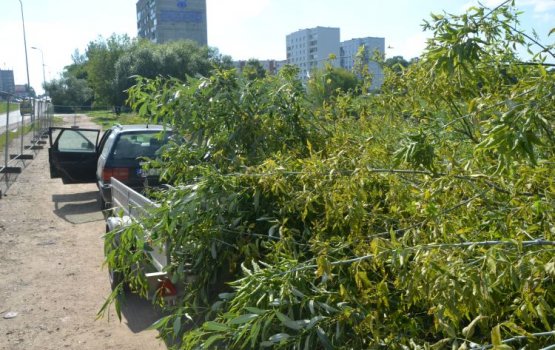 ���������� ����: �� ������ ����� ��������� ������