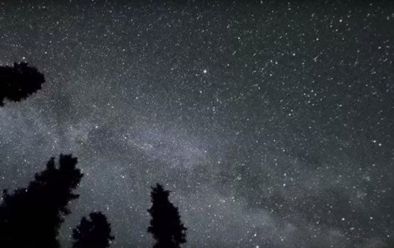 ��������� ����� �������� ��������� � ���� �� 13 �������