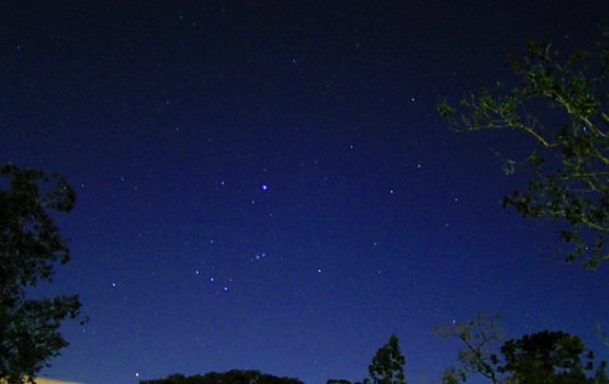 �� ���� ������ ��� ������� ��������� �������� �����