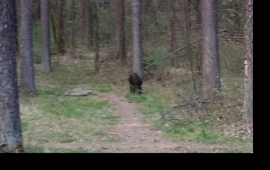 � ���� ������� ��� 8 �������: ����� ������� �� 5 ����