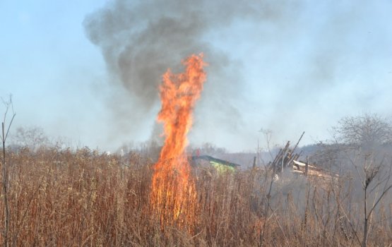 �������� �������� ������ ��������, ������� � �����