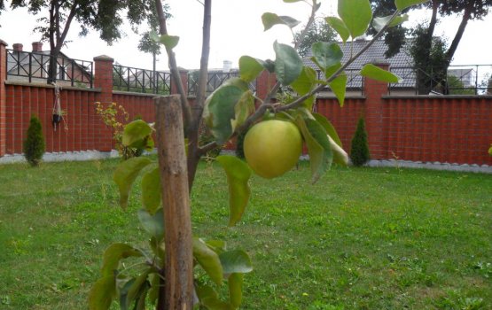 � ���� ��������� � ������ ������!