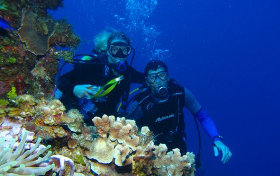 ������ �����: ����������� �������� ���� "���������������� ��������"