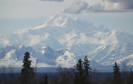 ����� ����������� ����� ������� ���� �������� �������