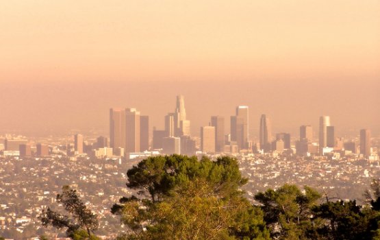 ��� ��������� ������ �� ���������� ���������-2024 � ���-���������