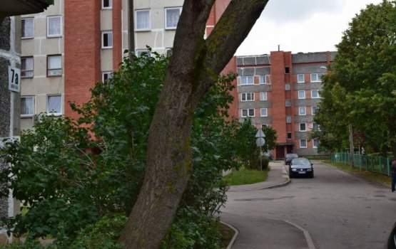 �� ����� ��������� ���������� �������� �������� ����?