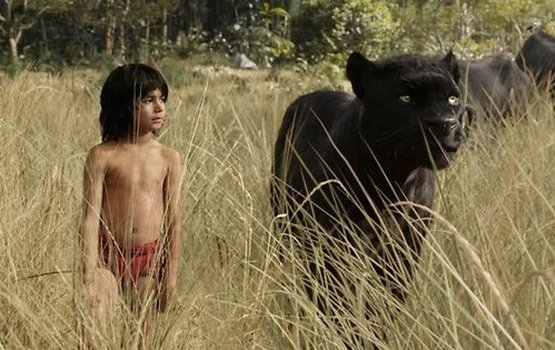 ����� ������ ������� ������ "����� ��������"