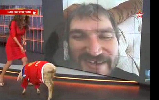 �������� �� 30-����� �������� ����� ����