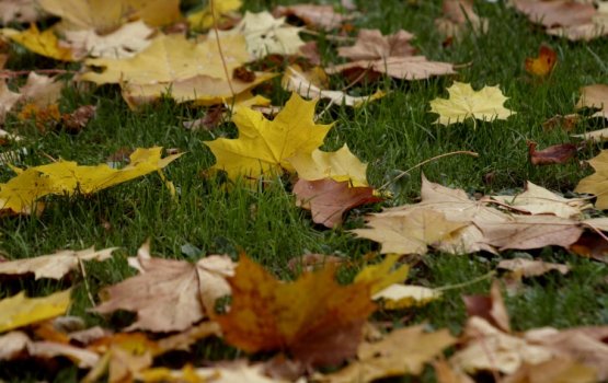 ������� ����� ������ ������ � �������...