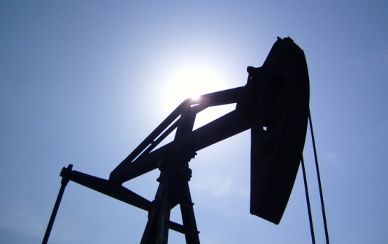 ���������� ������ ������� ���� �� �����