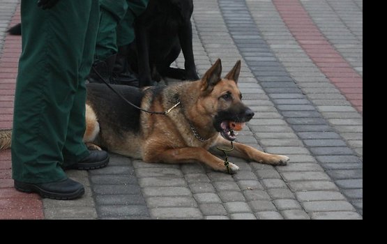 � ����������� � ������������� ����������� ����� ��� ������ ���������