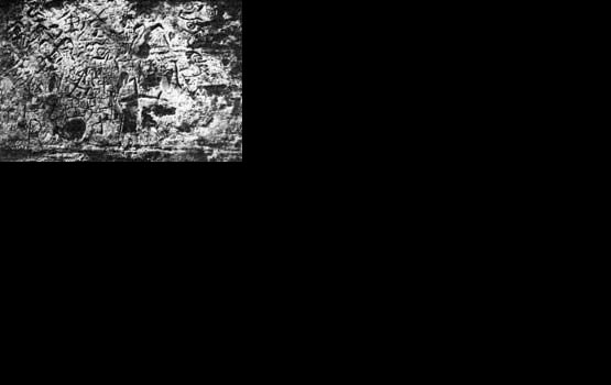 ������ ������������ ��������� �������� (����� ������)