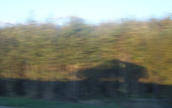 �������� ����: ����������, �������������� � ���-��� � ������������