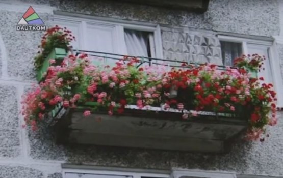 Знакомство с победительницей конкурса по благоустройству (видео)
