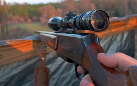 ���� � �������� ��������: ��������� ��������� � ����������