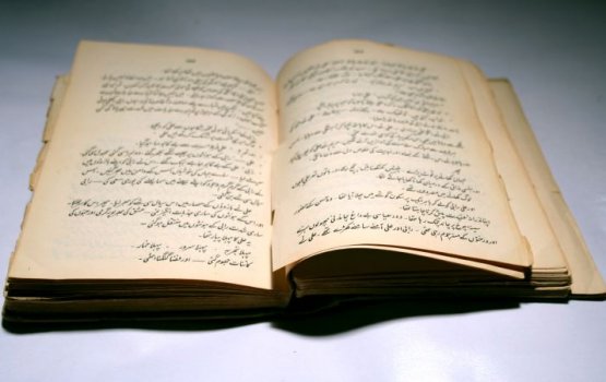 Жителей Даугавпилсского края будут бесплатно учить латышскому языку