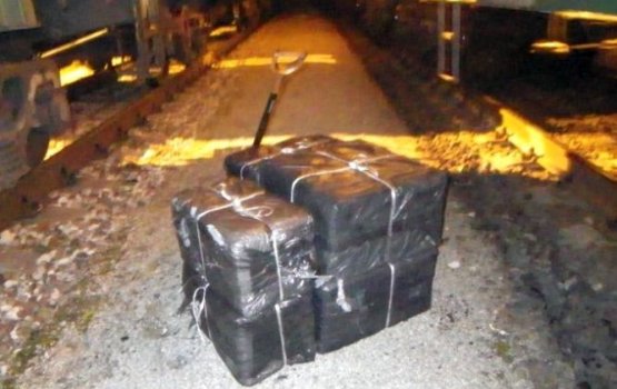 � ���� ����� ����� ������������ ������������� �������