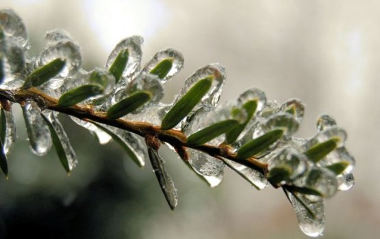 ������� ����� �������� � ������ +4