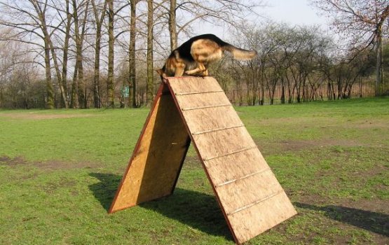 �� ������� ��������� ��������� ������