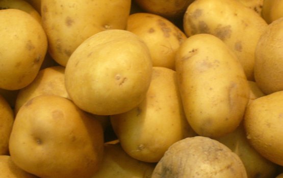 ������� ���������, ������ � ������ ��������� ���������