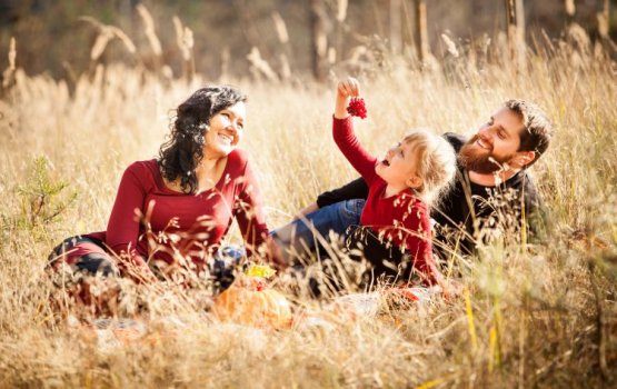 ���������� � �������