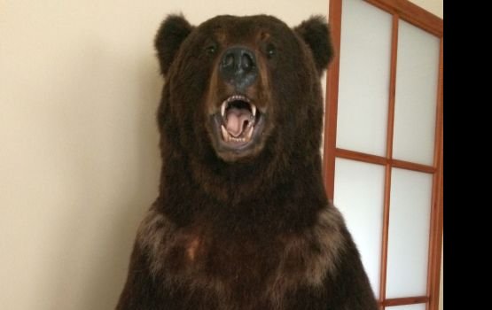 ����������� ������ ��� ����� � ������