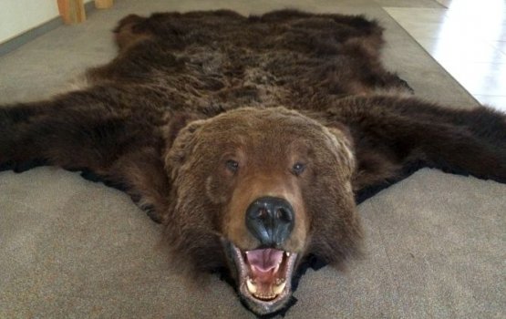 ����������� ������ ��� ����� � ������