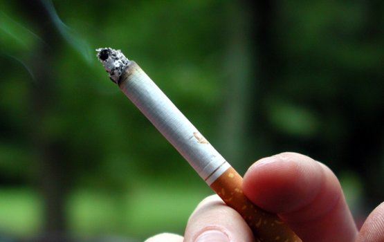 ����������� ����� 36% ������� ������