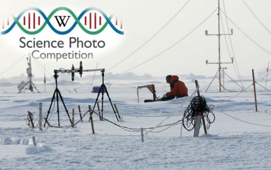 ���������� � �������� ������� ���������� �� ���������!