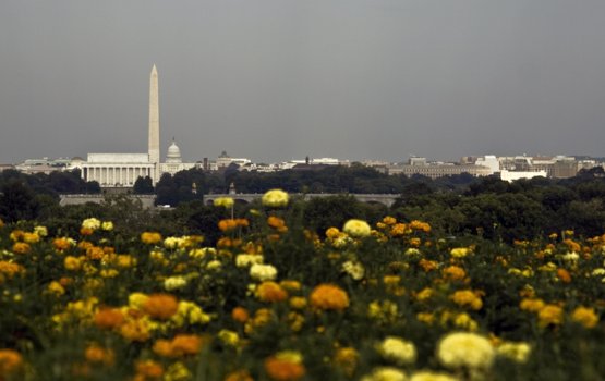 "��������� �����������" ������ �������� � ����������