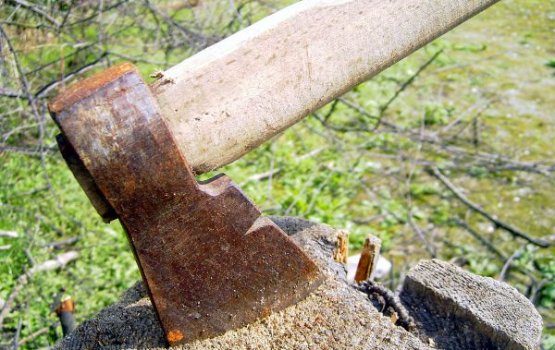 ��������� � ��������: ��� ������� ���������� �� �����?