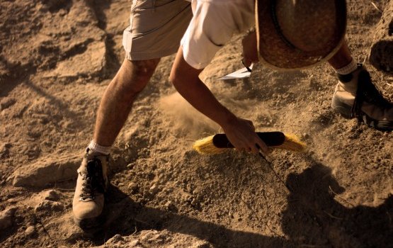 � ������ ������� ������� ������������� �������� ������� ����������