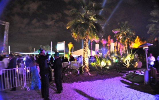 ������ ����� ������� ����� ��� ������� ������ ����