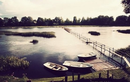 �� ��� ������ �������� 5 �� ����� ����������