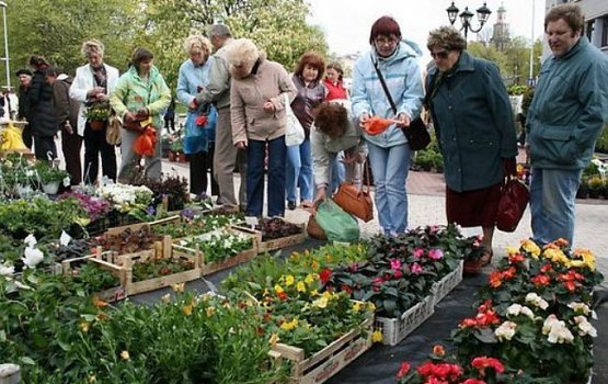 �������� ������ ����������, �������� ������� ��� ������ ��������