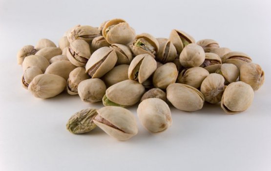 �������� �������� ������: ��������