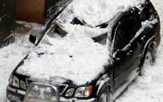 �� ���� � �������� �������� ������ ���������